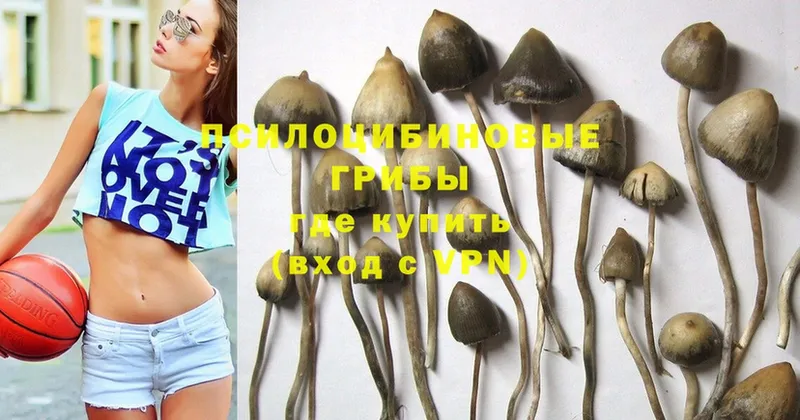 Псилоцибиновые грибы GOLDEN TEACHER  OMG ONION  Киров 